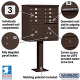 Cluster Box Unit with 8 Doors and 2 Parcel Lockers in Bronze with USPS Access
