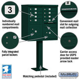 Cluster Box Unit with 8 Doors and 2 Parcel Lockers in Green with USPS Access