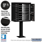 12-Door Cluster Box Unit with Parcel Locker in Black with USPS Access