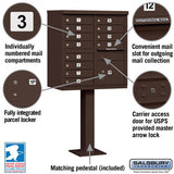 Cluster Box Unit with 12 Doors and Parcel Locker in Bronze with USPS Access