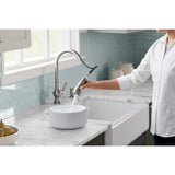 Arsdale Single-Handle Standard Kitchen Faucet in Vibrant Stainless with On-Deck Sidespray - Super Arbor