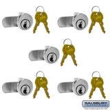 Standard Locks Replacement for Vertical Mailbox Door with 2 Keys - 5 Pack