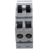 100 Amp 2-Pole Breaker - Super Arbor