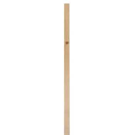 (Common: 1-in x 10-in x 10-ft; Actual: 0.75-in x 9.25-in x 10-ft) Whitewood Board