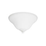 2-Light Ceiling Fan Light Kit
