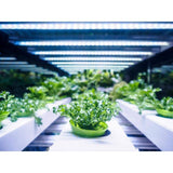 4 ft. 54-Watt Vertical Mount White Full Spectrum LED Non-Dimmable Indoor Linkable Plant Grow Light Strip, Daylight