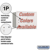 Recessed Mounted 4C Parcel Locker - Double Column - Rear Loading - Private Access