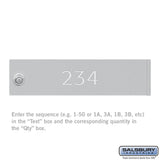 Custom Door Engraving for Aluminum Mailbox Door