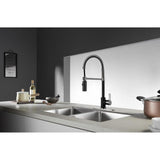 Kingston Brass Continental Matte Black/Brushed Nickel 1-Handle Deck-Mount Pre-rinse Handle Kitchen Faucet (Deck Plate Included)