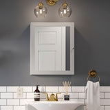Style Selections 19.5-in x 23.7-in Rectangle Surface Mirrored Medicine Cabinet