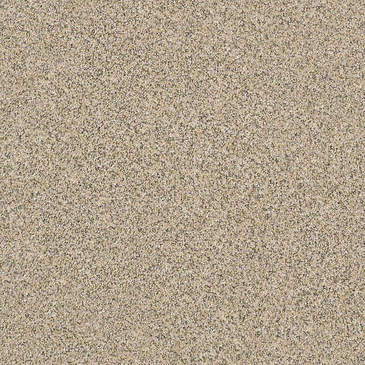STAINMASTER PetProtect Mineral Bay I 12-ft Sun Kissed Textured Carpet Sample (Interior)