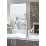BLANCO Panera Stainless Steel 1-Handle Deck-Mount Pull-Out Handle Kitchen Faucet