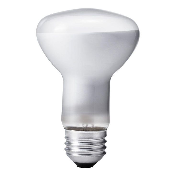 Philips 45-Watt R20 Incandescent DuraMax Dimmable Flood Light Bulb (3-Pack)