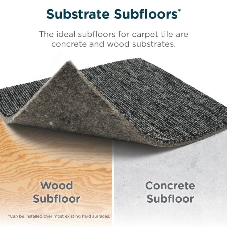Shaw Double Take 24-in x 24-in Side-kick Multi-level Loop Full Spread Adhesive Carpet Tile (48-sq ft)