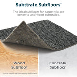 Shaw Double Take 24-in x 24-in Side-kick Multi-level Loop Full Spread Adhesive Carpet Tile (48-sq ft)