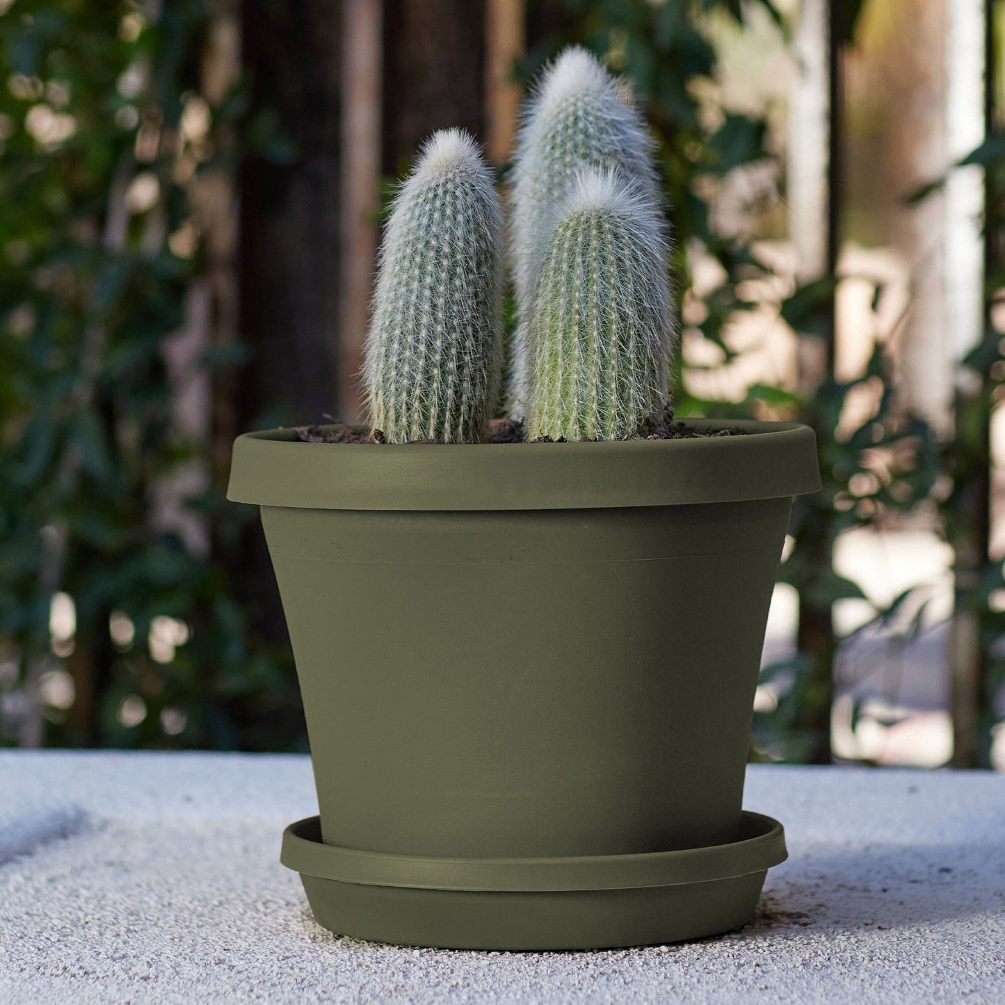 Bloem Terra Pot Planter 12" Living Green