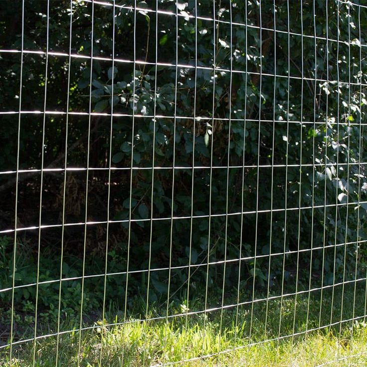 Everbilt 3 ft. x 50 ft. 14-Gauge Galvanized Steel Welded Wire