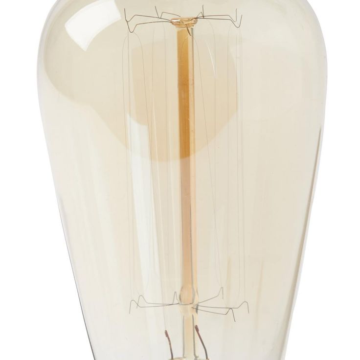 Progress Lighting 40-Watt ST64 Edison E26 Medium Base Vintage Amber Incandescent Light Bulb Warm White