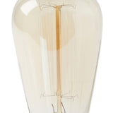 Progress Lighting 40-Watt ST64 Edison E26 Medium Base Vintage Amber Incandescent Light Bulb Warm White