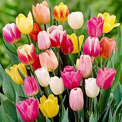 3cdba1c2-a15c-4221-95ac-9095af47a976_1.3c9572b2476962b26254b7bfe5295c43_-430562961.jpeg