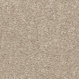 STAINMASTER Essentials Blue Diamonds I 12-ft Dreamy Textured Carpet (Indoor)