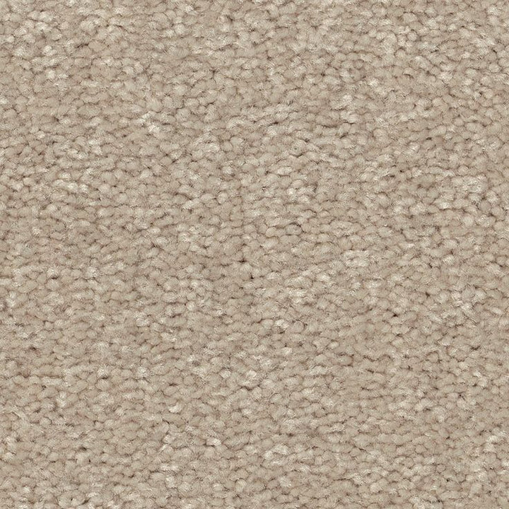 STAINMASTER Essentials Blue Diamonds III 12-ft Dreamy Textured Carpet Sample (Interior)