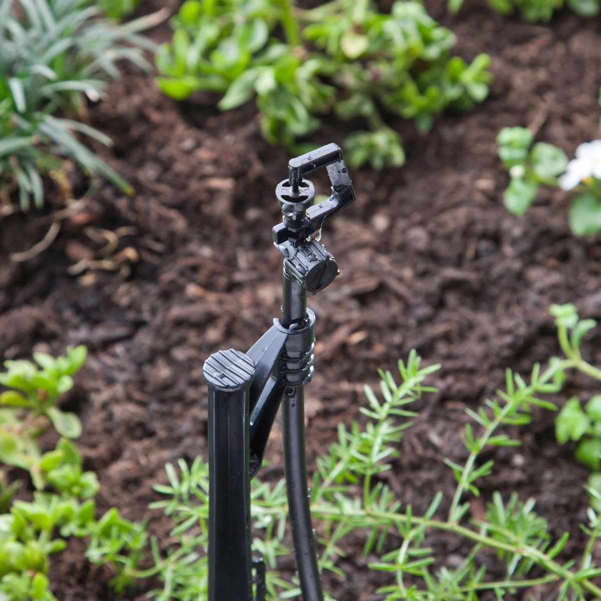 Raindrip Full-Circle Drip Irrigation Micro Spray 20 GPH, 5-Pack (R184CT)