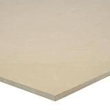 MSI Monterosa Beige 20 in. x 20 in. Polished Porcelain Floor and Wall Tile (19.44 sq. ft. / case)