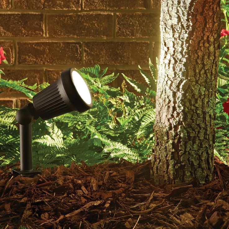 Low-Voltage 20-Watt Black Halogen Outdoor Landscape Flood Light
