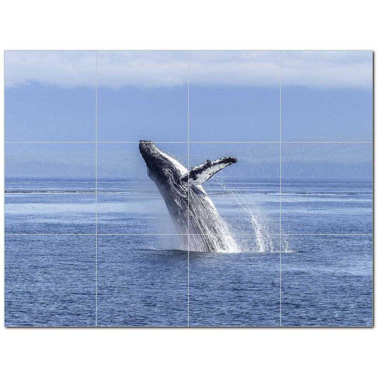 Whale Ceramic Tile Mural Kitchen Backsplash Bathroom Shower 403086-S43