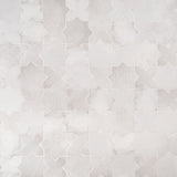 Parma White Matte Star and Cross 6" Terracotta Look Porcelain Tile