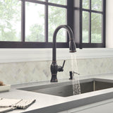 Marchand Single Handle Pull-Down Sprayer Kitchen Faucet in Legacy Bronze - Super Arbor