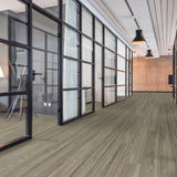 Lucida USA Gluecore Silver Grey Gray 22-mil x 7-3/32-in W x 48-in L Waterproof Glue Down Luxury Vinyl Plank Flooring (40-sq ft/ Carton)