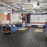 Lucida USA Gluecore Harbor Gray 22-mil x 7-3/32-in W x 48-in L Water Resistant Glue Down Luxury Vinyl Plank Flooring (40-sq ft/ Carton)