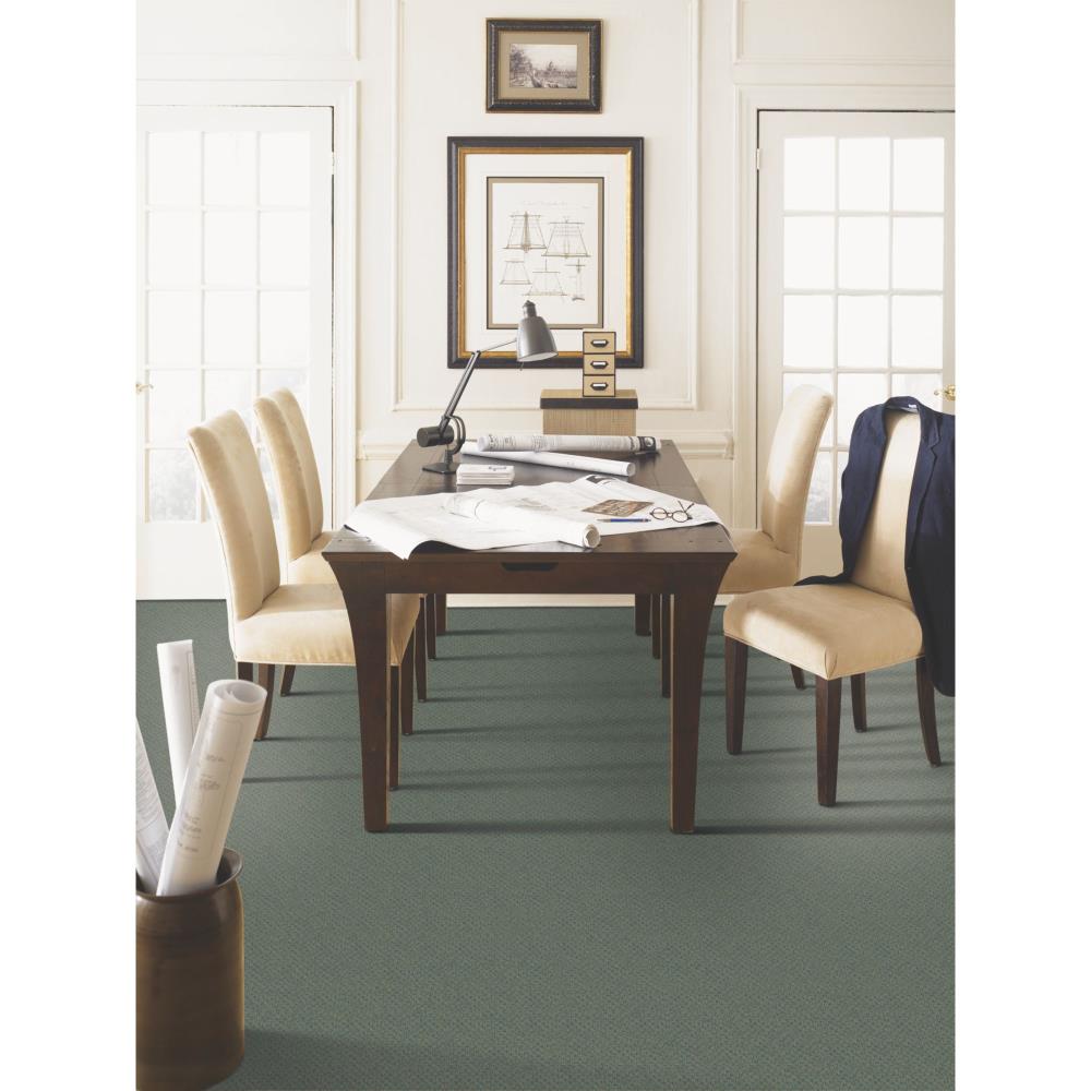 STAINMASTER Home & Office Music Store Dark Roast Pattern Carpet (Interior)
