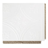 Armstrong Ceilings TinTile White Mineral Fiber Surface-mount Ceiling Tile Sample
