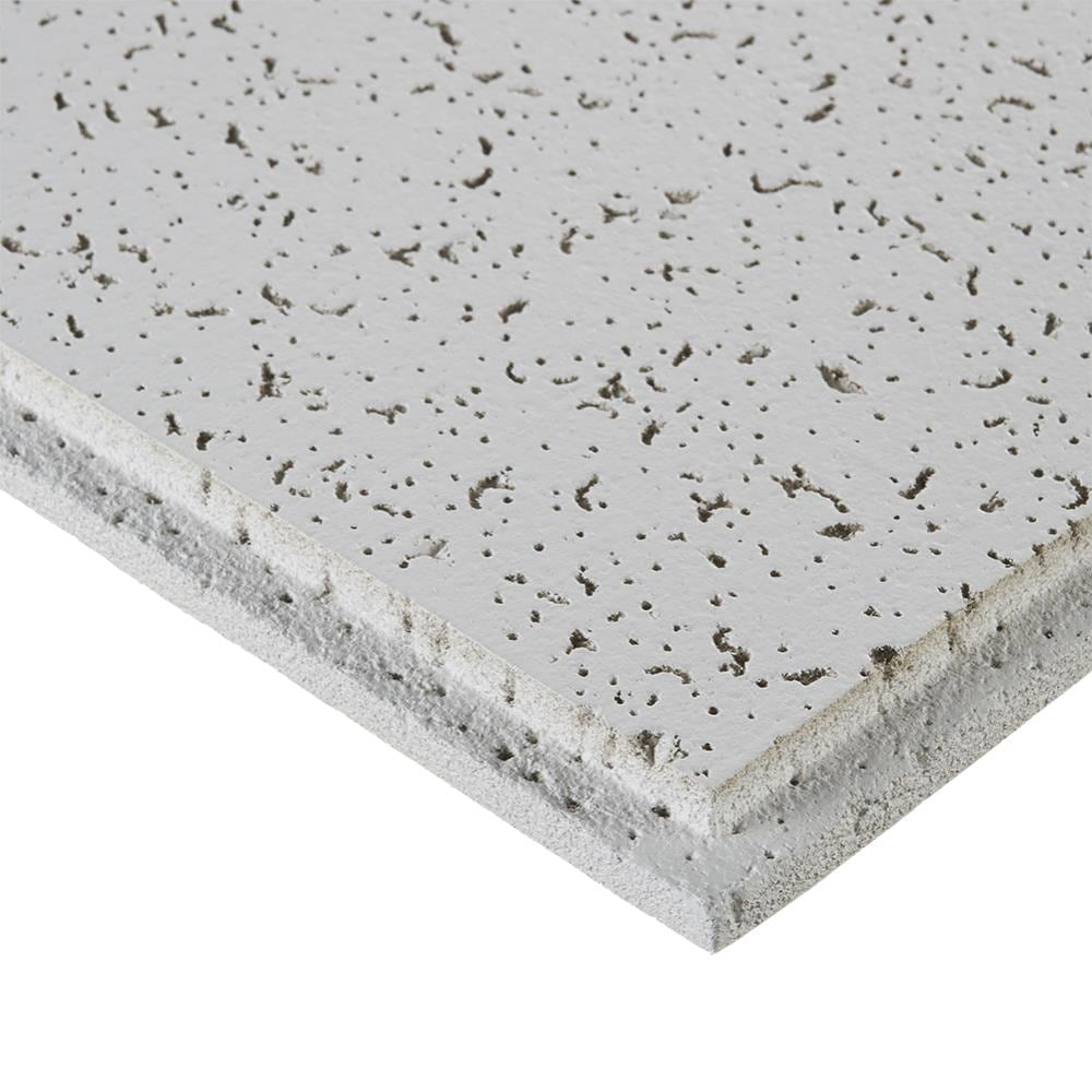 Armstrong Ceilings 48-in x 24-in Scored Contractor White Fissured 15/16-in Drop Acoustic Panel Ceiling Tiles, 10-Pack