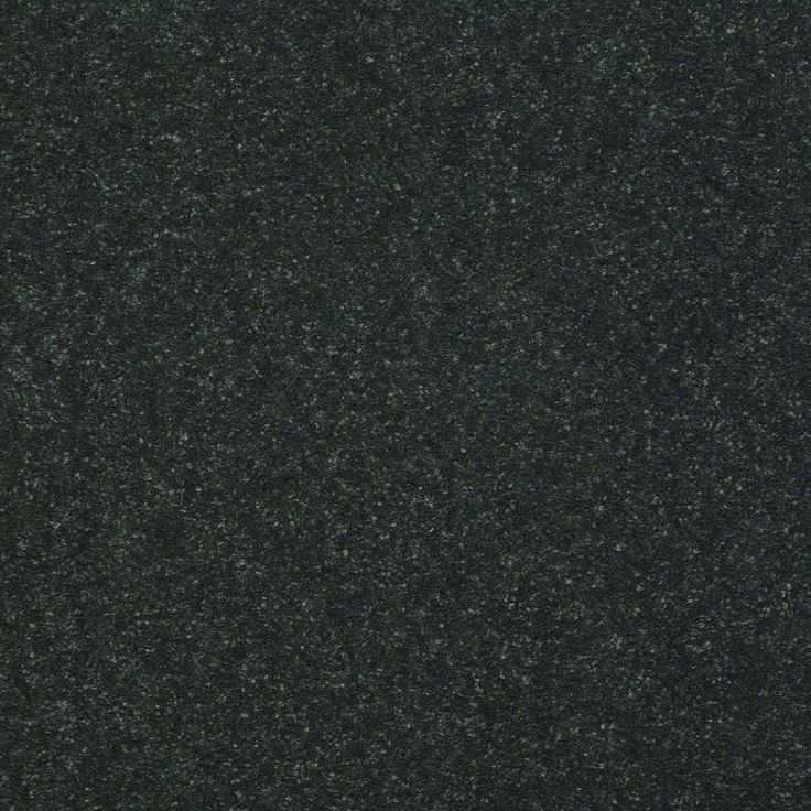 STAINMASTER Essentials Intuition II 12-ft Charcoal Textured Carpet Sample (Interior)