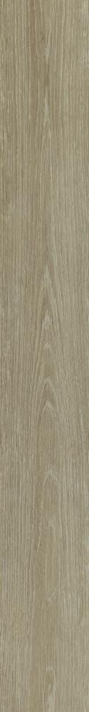 Shaw Westwork Cast Brown 12-mil x 6-in W x 48-in L Waterproof Glue Down Luxury Vinyl Plank Flooring (41.72-sq ft/ Carton)