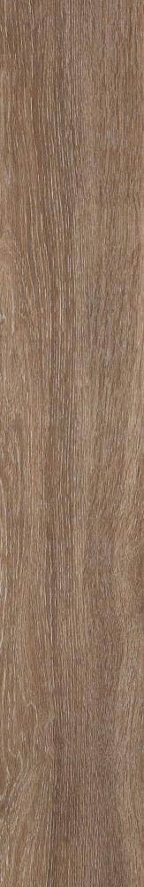 Shaw Perennial Basin 6-in Wide x 2-mm Thick Waterproof Luxury Vinyl Plank Flooring (53.93-sq ft)