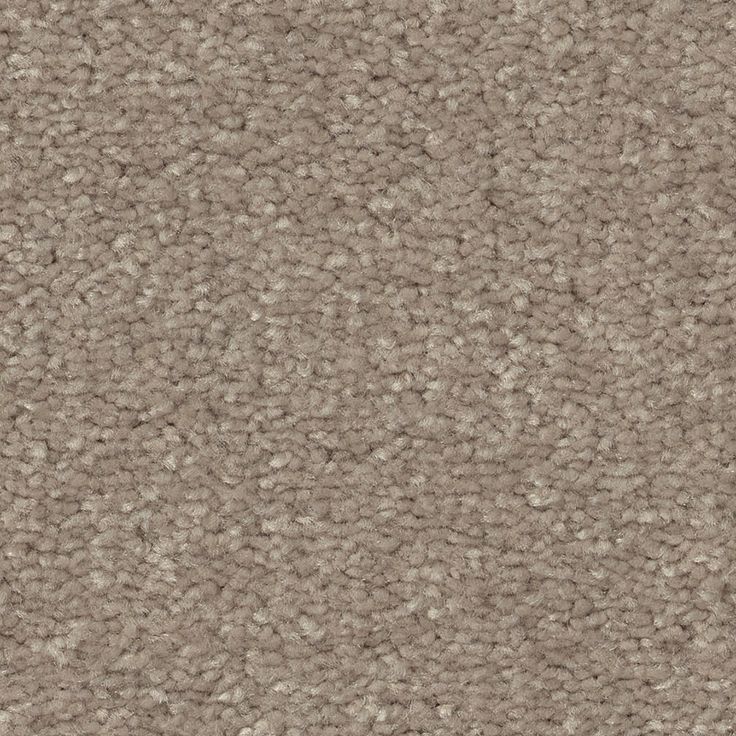 STAINMASTER Essentials Blue Diamonds II 12-ft Natural Contour Textured Carpet Sample (Interior)