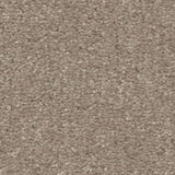 STAINMASTER Essentials Blue Diamonds II 12-ft Natural Contour Textured Carpet Sample (Interior)