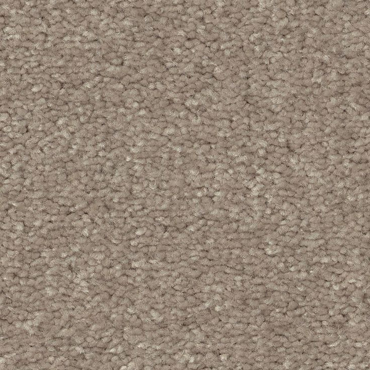 STAINMASTER Essentials Blue Diamonds II 12-ft Natural Contour Textured Carpet Sample (Interior)
