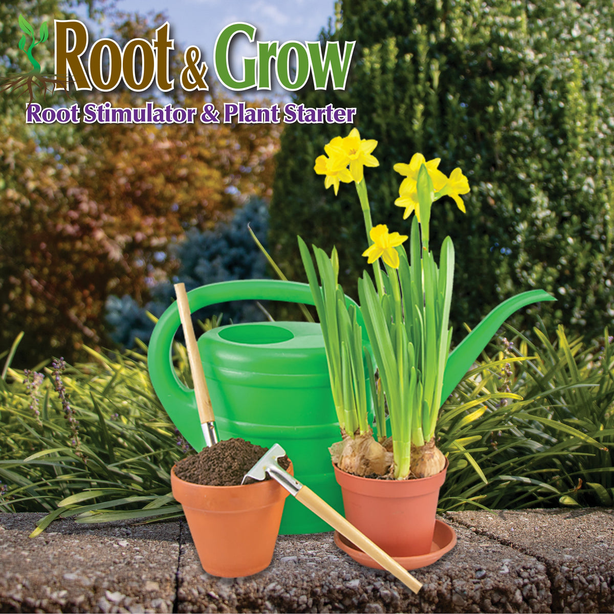 Bonide Garden Rich Root & Grow Liquid Root Feeder, 1 qt