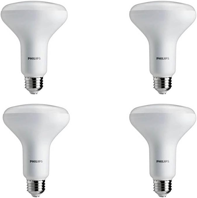 Philips 65-Watt Equivalent BR30 Dimmable LED Energy Star Light Bulb, Daylight (12-Pack)