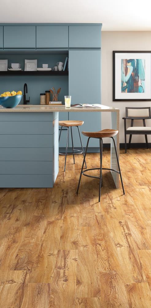 Shaw (Sample) Triad Desert Jewel Brown Wood Look 12-mil Waterproof Glue Down Luxury Vinyl Plank
