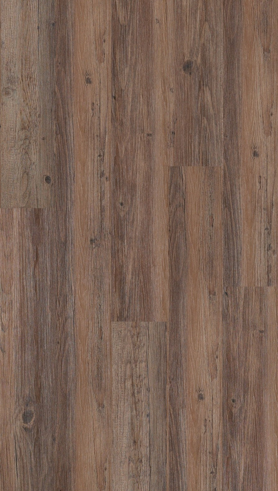 Shaw Farmers Market 6 mil Homegrown 6-in Wide x 2-mm Thick Waterproof Luxury Vinyl Plank Flooring (53.93-sq ft)