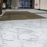 Lucida USA Gluecore Whitstone White 22-mil x 12-in W x 24-in L Waterproof Glue Down Luxury Vinyl Plank Flooring (36-sq ft/ Carton)