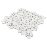 Elida Ceramica Stonescape White Marble 12-in x 12-in Carrara-Look Recycled Glass Pebble Mosaic Floor and Wall Tile (1.001-sq ft per Piece)