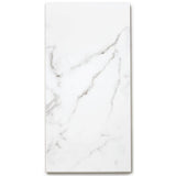 Lucida USA Terracore Calacatta Gray 22-mil x 12-in W x 24-in L Waterproof Interlocking Luxury Vinyl Plank Flooring (16-sq ft/ Carton)